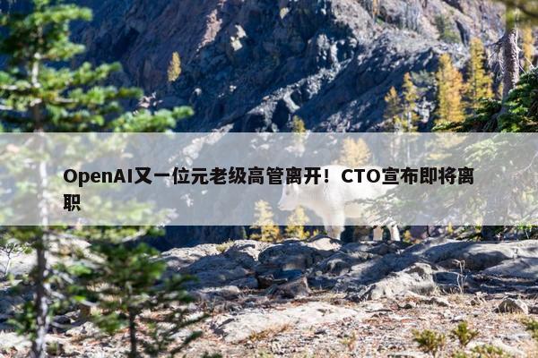 OpenAI又一位元老级高管离开！CTO宣布即将离职 