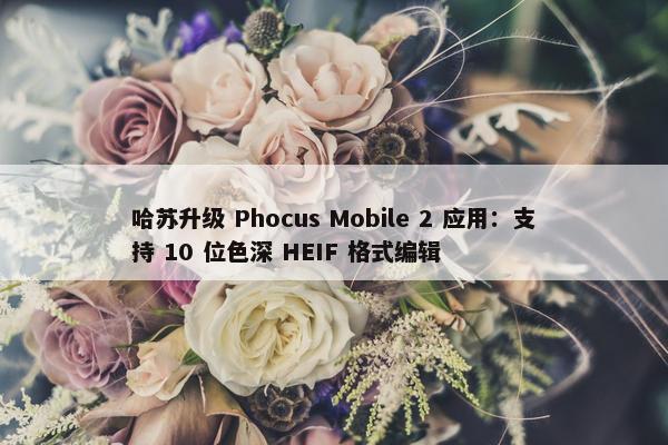 哈苏升级 Phocus Mobile 2 应用：支持 10 位色深 HEIF 格式编辑