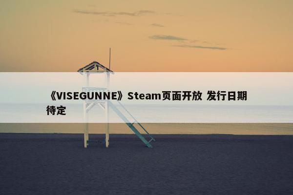 《VISEGUNNE》Steam页面开放 发行日期待定