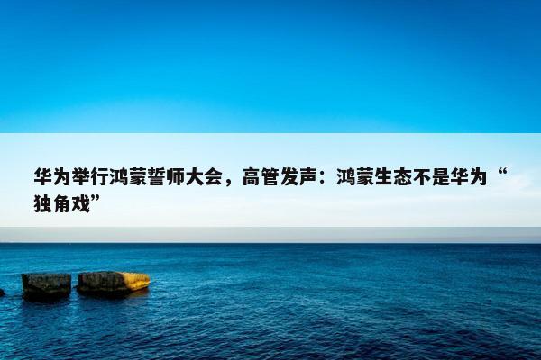 华为举行鸿蒙誓师大会，高管发声：鸿蒙生态不是华为“独角戏”