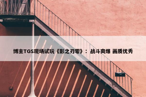 博主TGS现场试玩《影之刃零》：战斗爽爆 画质优秀