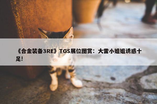 《合金装备3RE》TGS展位图赏：大雷小姐姐诱惑十足!