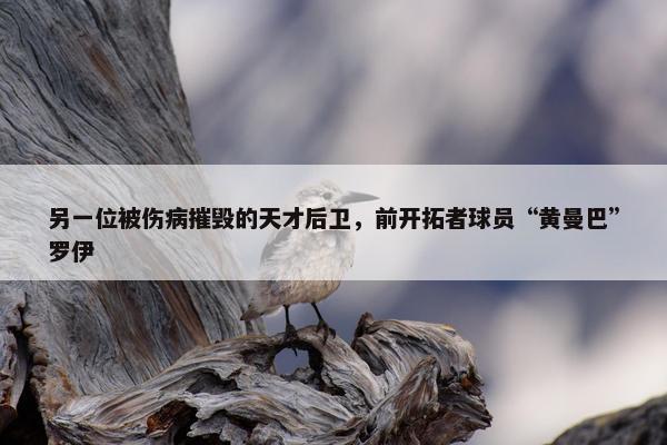 另一位被伤病摧毁的天才后卫，前开拓者球员“黄曼巴”罗伊