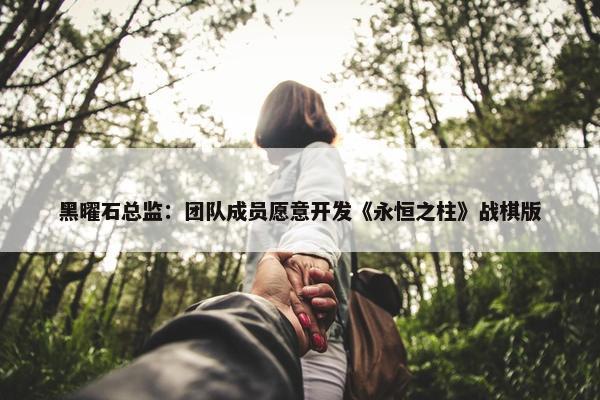 黑曜石总监：团队成员愿意开发《永恒之柱》战棋版