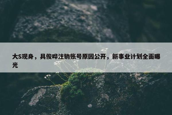 大S现身，具俊晔注销账号原因公开，新事业计划全面曝光