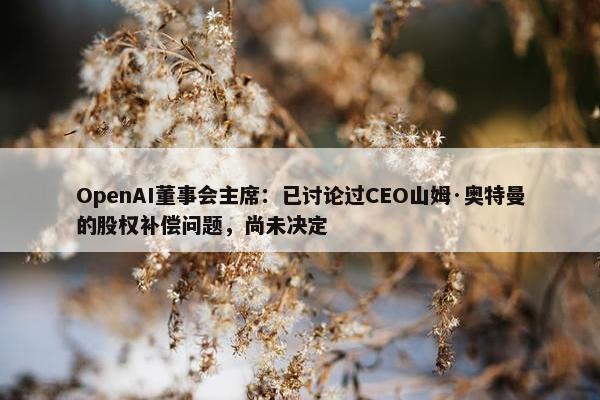 OpenAI董事会主席：已讨论过CEO山姆·奥特曼的股权补偿问题，尚未决定