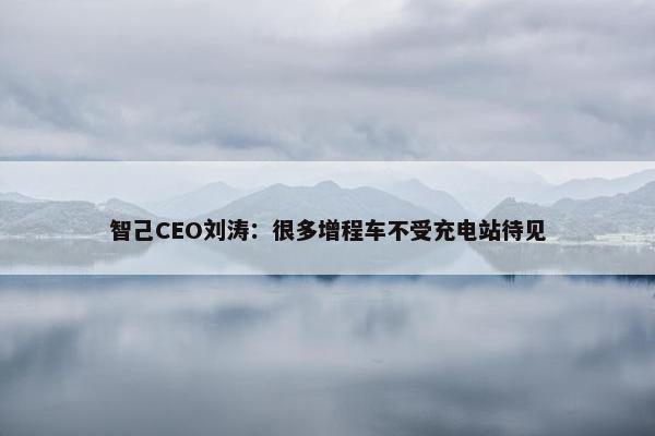 智己CEO刘涛：很多增程车不受充电站待见