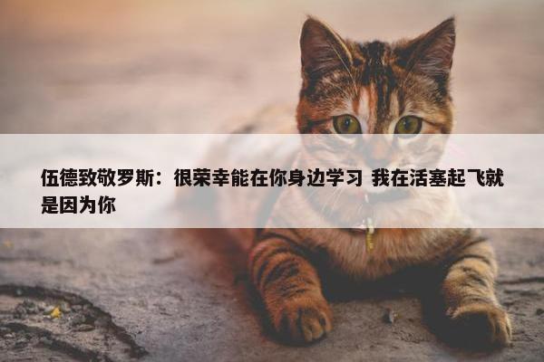 伍德致敬罗斯：很荣幸能在你身边学习 我在活塞起飞就是因为你