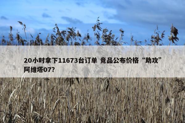 20小时拿下11673台订单 竞品公布价格“助攻”阿维塔07？