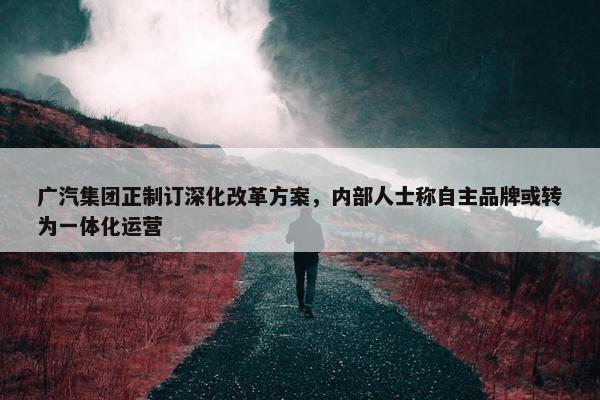 广汽集团正制订深化改革方案，内部人士称自主品牌或转为一体化运营