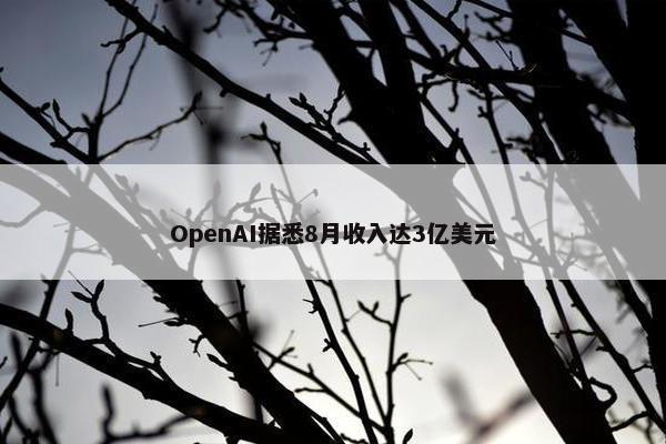 OpenAI据悉8月收入达3亿美元