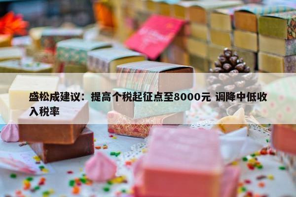 盛松成建议：提高个税起征点至8000元 调降中低收入税率