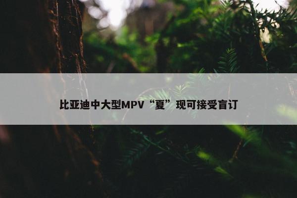 比亚迪中大型MPV“夏”现可接受盲订