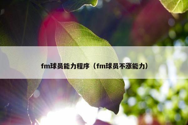 fm球员能力程序（fm球员不涨能力）