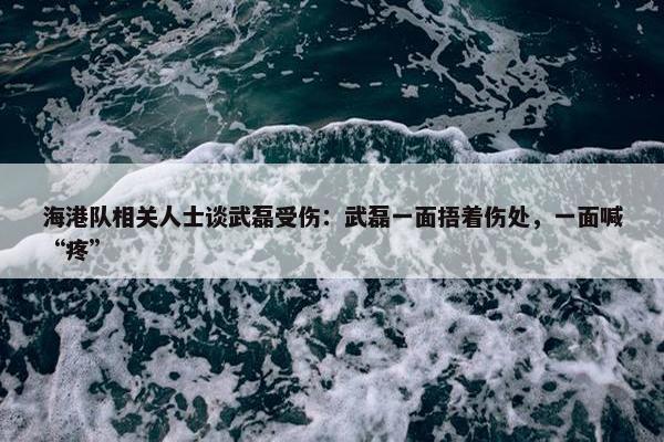 海港队相关人士谈武磊受伤：武磊一面捂着伤处，一面喊“疼”