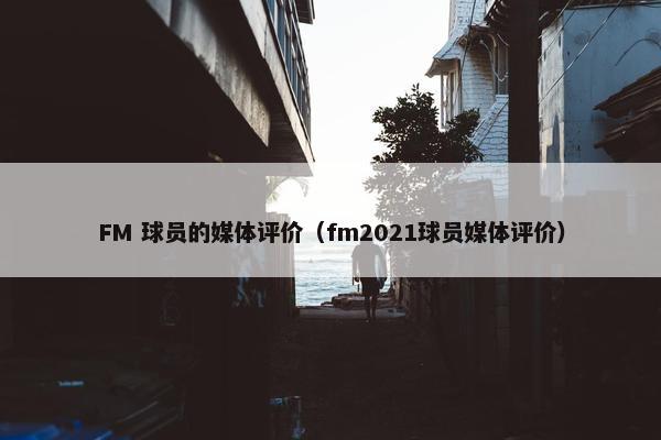 FM 球员的媒体评价（fm2021球员媒体评价）