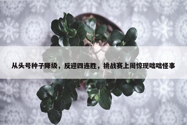 从头号种子降级，反迎四连胜，挑战赛上周惊现咄咄怪事