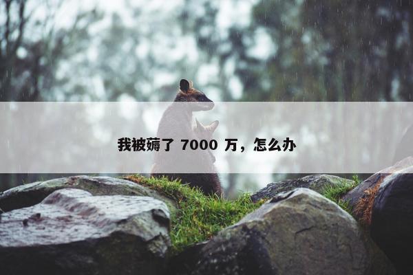 我被薅了 7000 万，怎么办