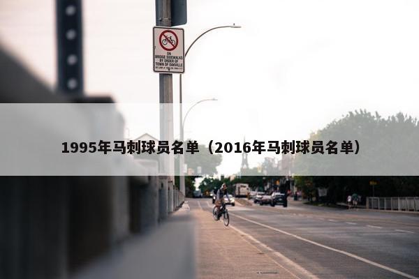 1995年马刺球员名单（2016年马刺球员名单）