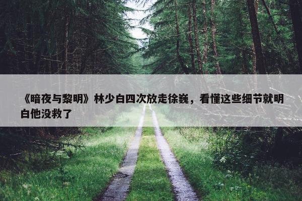 《暗夜与黎明》林少白四次放走徐巍，看懂这些细节就明白他没救了