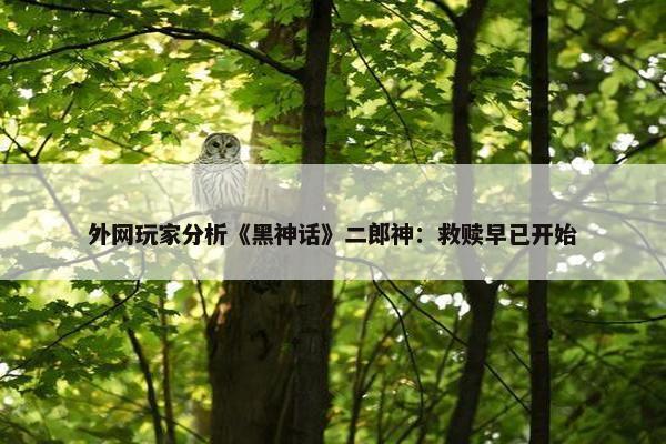 外网玩家分析《黑神话》二郎神：救赎早已开始