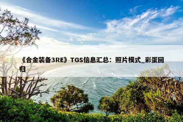 《合金装备3RE》TGS信息汇总：照片模式_彩蛋回归