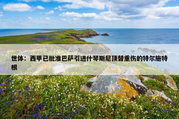 世体：西甲已批准巴萨引进什琴斯尼顶替重伤的特尔施特根