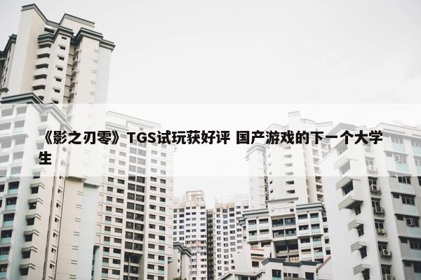 《影之刃零》TGS试玩获好评 国产游戏的下一个大学生