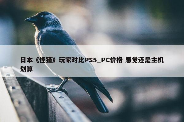 日本《怪猎》玩家对比PS5_PC价格 感觉还是主机划算