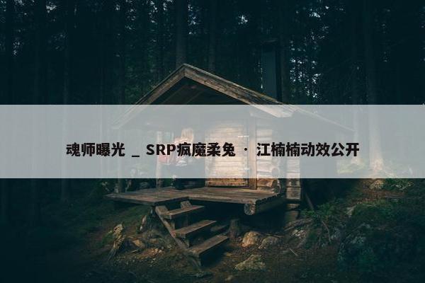 魂师曝光 _ SRP疯魔柔兔 · 江楠楠动效公开