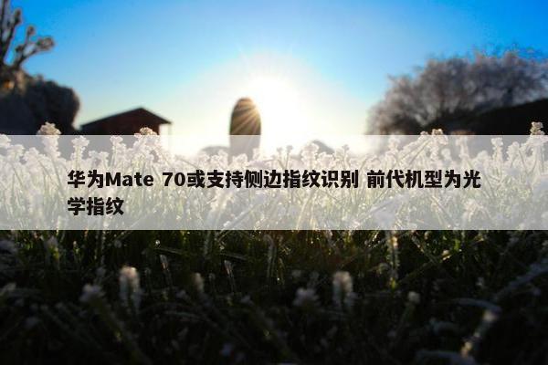 华为Mate 70或支持侧边指纹识别 前代机型为光学指纹