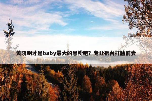 黄晓明才是baby最大的黑粉吧？专业拆台打脸前妻