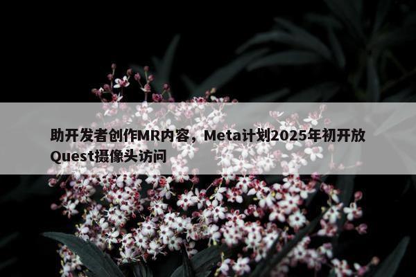 助开发者创作MR内容，Meta计划2025年初开放Quest摄像头访问