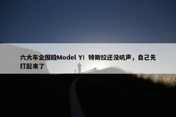 六大车企围殴Model Y！特斯拉还没吭声，自己先打起来了