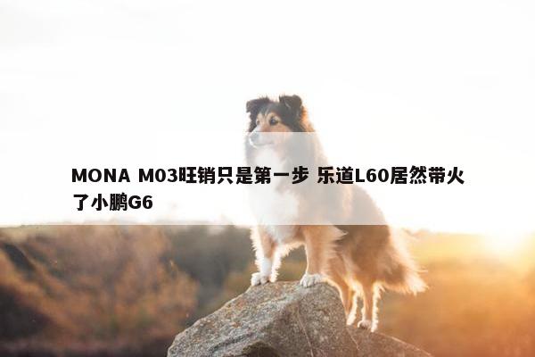 MONA M03旺销只是第一步 乐道L60居然带火了小鹏G6