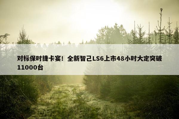 对标保时捷卡宴！全新智己LS6上市48小时大定突破11000台