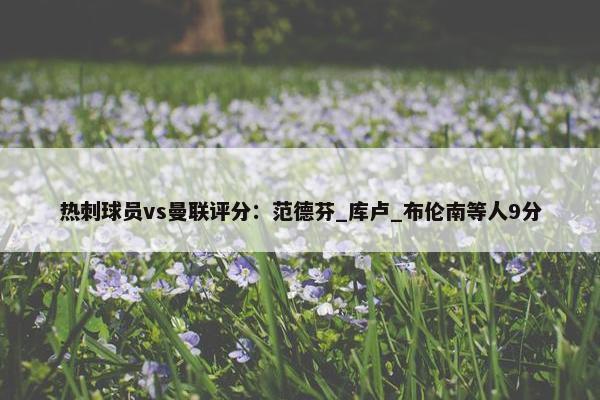 热刺球员vs曼联评分：范德芬_库卢_布伦南等人9分