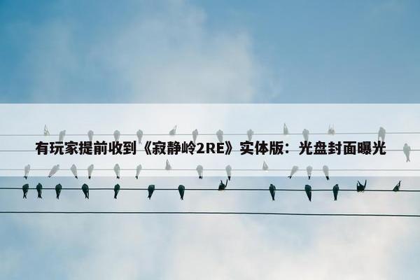 有玩家提前收到《寂静岭2RE》实体版：光盘封面曝光