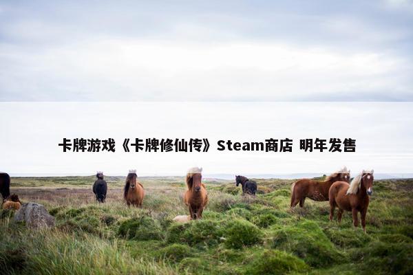 卡牌游戏《卡牌修仙传》Steam商店 明年发售