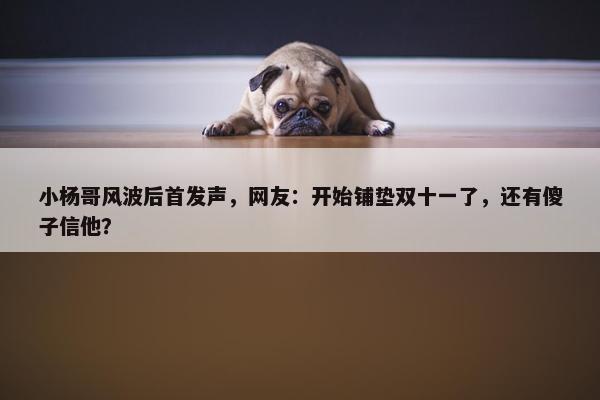 小杨哥风波后首发声，网友：开始铺垫双十一了，还有傻子信他？