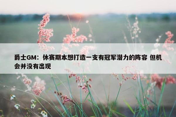 爵士GM：休赛期本想打造一支有冠军潜力的阵容 但机会并没有出现