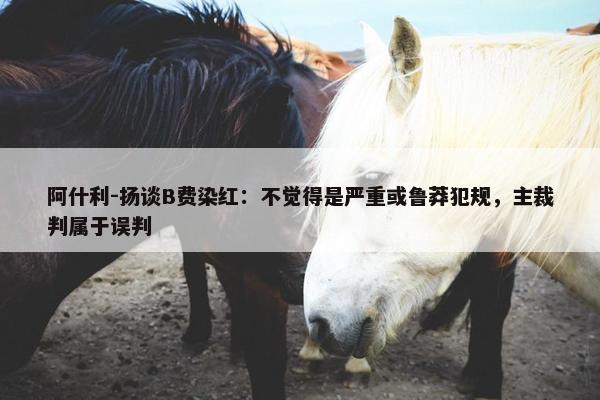 阿什利-扬谈B费染红：不觉得是严重或鲁莽犯规，主裁判属于误判