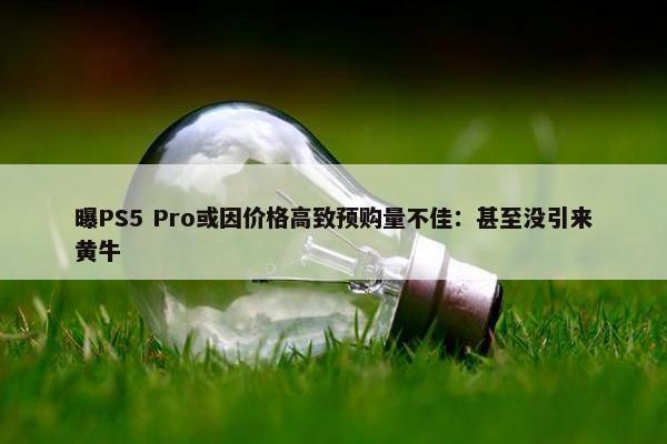 曝PS5 Pro或因价格高致预购量不佳：甚至没引来黄牛