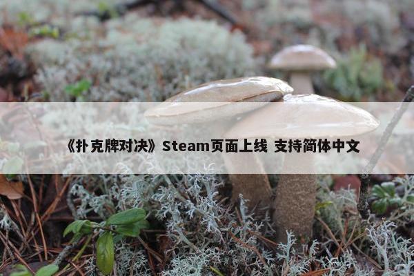 《扑克牌对决》Steam页面上线 支持简体中文