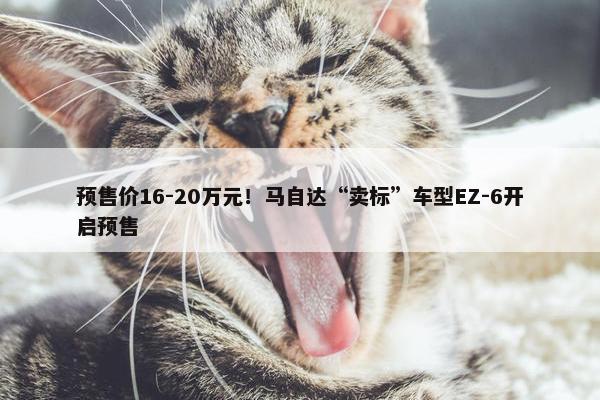 预售价16-20万元！马自达“卖标”车型EZ-6开启预售