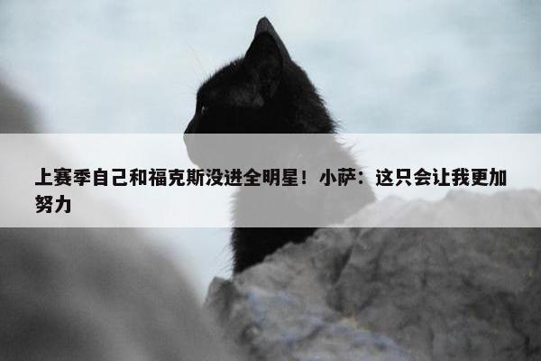 上赛季自己和福克斯没进全明星！小萨：这只会让我更加努力