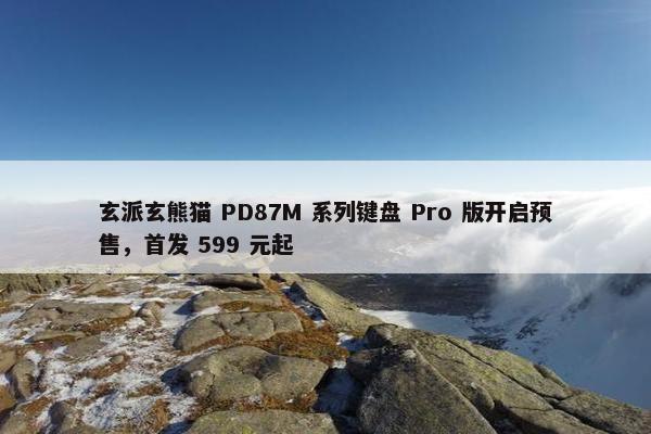 玄派玄熊猫 PD87M 系列键盘 Pro 版开启预售，首发 599 元起