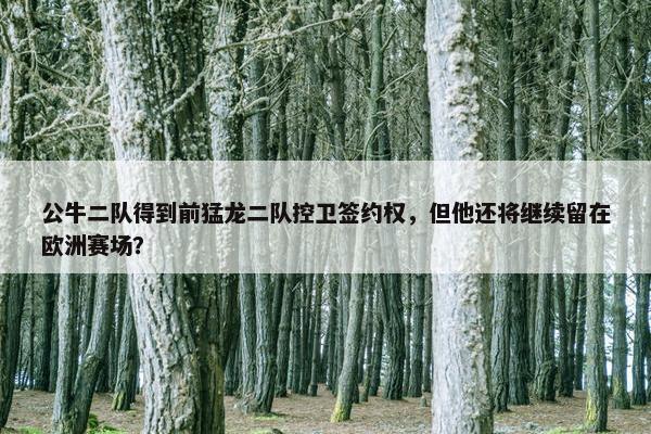 公牛二队得到前猛龙二队控卫签约权，但他还将继续留在欧洲赛场？