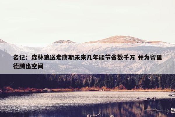 名记：森林狼送走唐斯未来几年能节省数千万 并为留里德腾出空间