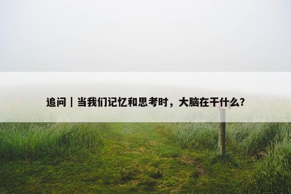 追问｜当我们记忆和思考时，大脑在干什么？